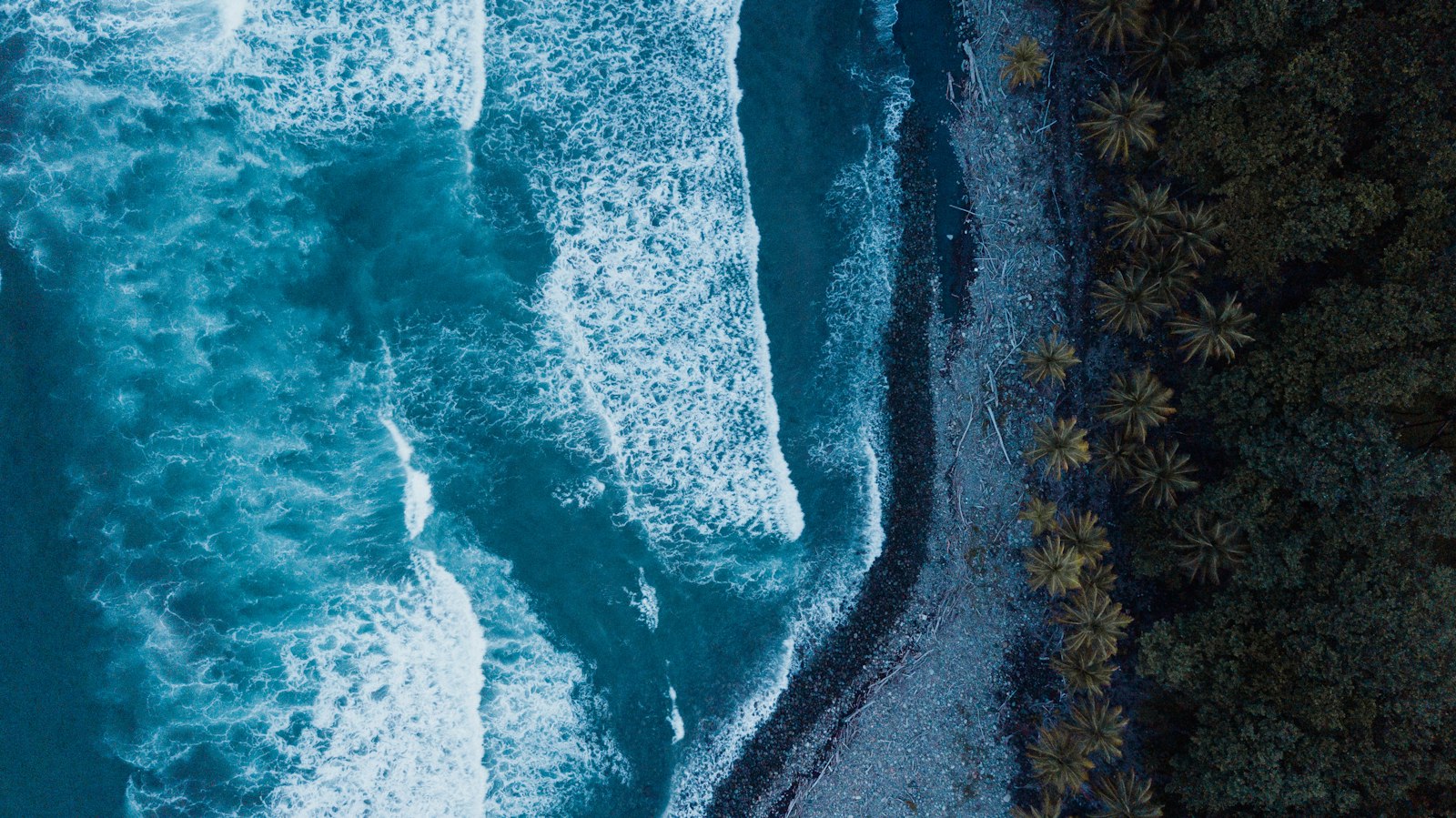 Aerial view of waves breaking on a dark shore beside palm and forest near Rosalie Bay, Dominica